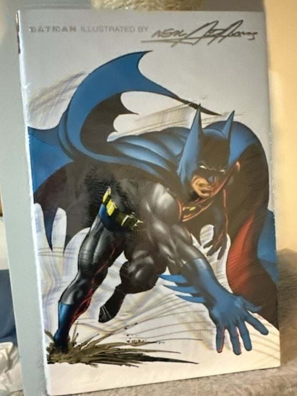 Batman Illustrated by Neal Adams Hardcover Graphic Novel
